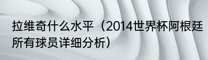 拉维奇什么水平（2014世界杯阿根廷所有球员详细分析）