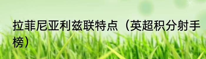 拉菲尼亚利兹联特点（英超积分射手榜）