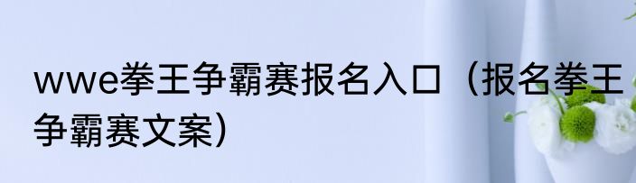 wwe拳王争霸赛报名入口（报名拳王争霸赛文案）