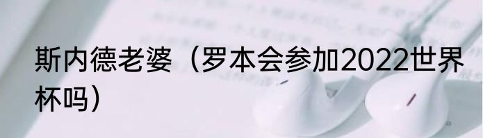 斯内德老婆（罗本会参加2022世界杯吗）