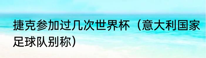 捷克参加过几次世界杯（意大利国家足球队别称）