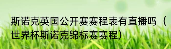 斯诺克英国公开赛赛程表有直播吗（世界杯斯诺克锦标赛赛程）