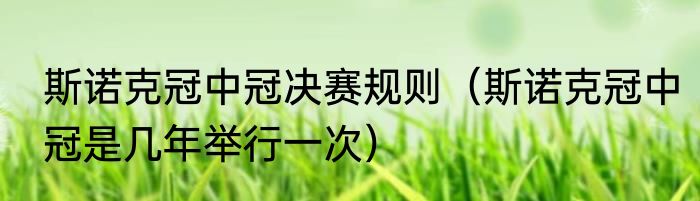 斯诺克冠中冠决赛规则（斯诺克冠中冠是几年举行一次）