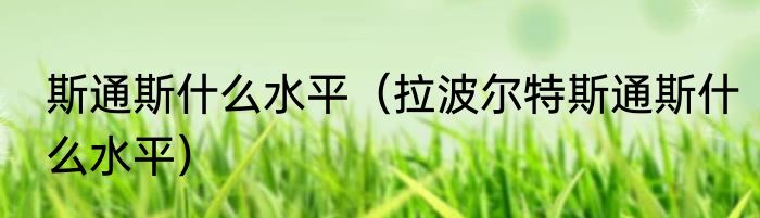 斯通斯什么水平（拉波尔特斯通斯什么水平）