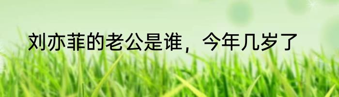 刘亦菲的老公是谁，今年几岁了