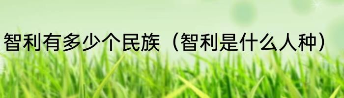 智利有多少个民族（智利是什么人种）