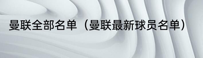 曼联全部名单（曼联最新球员名单）