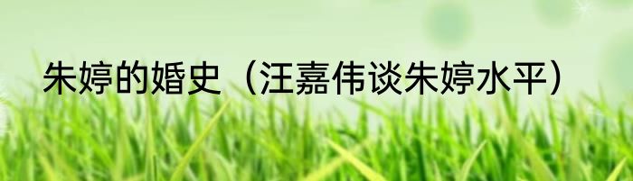 朱婷的婚史（汪嘉伟谈朱婷水平）