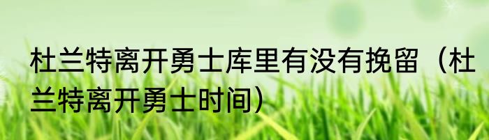 杜兰特离开勇士库里有没有挽留（杜兰特离开勇士时间）