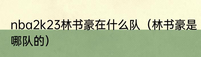 nba2k23林书豪在什么队（林书豪是哪队的）
