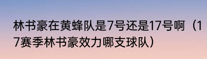 林书豪在黄蜂队是7号还是17号啊（17赛季林书豪效力哪支球队）