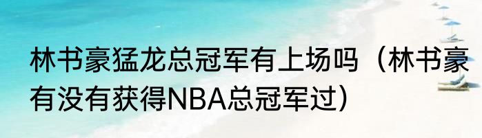 林书豪猛龙总冠军有上场吗（林书豪有没有获得NBA总冠军过）
