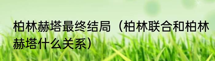 柏林赫塔最终结局（柏林联合和柏林赫塔什么关系）