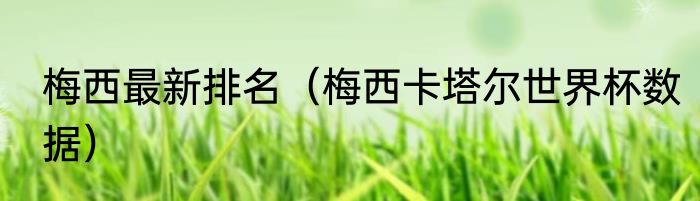 梅西最新排名（梅西卡塔尔世界杯数据）