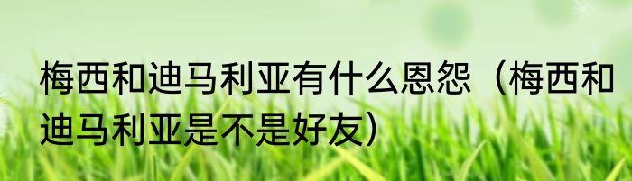 梅西和迪马利亚有什么恩怨（梅西和迪马利亚是不是好友）