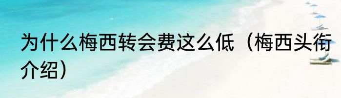 为什么梅西转会费这么低（梅西头衔介绍）