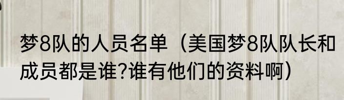 梦8队的人员名单（美国梦8队队长和成员都是谁?谁有他们的资料啊）