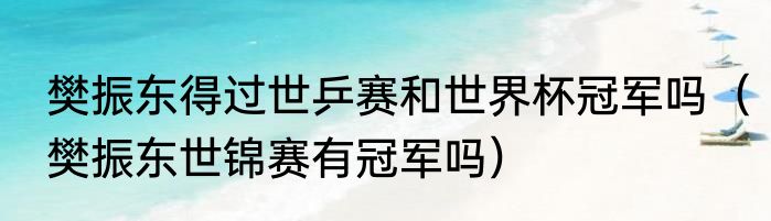 樊振东得过世乒赛和世界杯冠军吗（樊振东世锦赛有冠军吗）