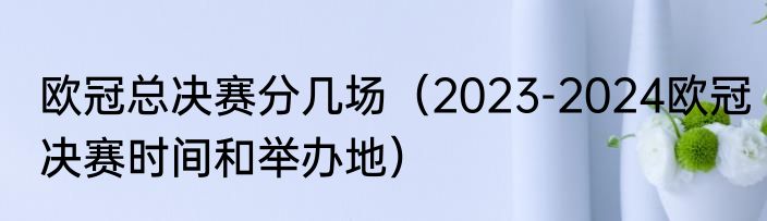 欧冠总决赛分几场（2023-2024欧冠决赛时间和举办地）