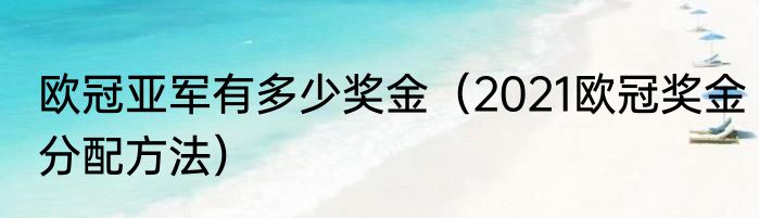 欧冠亚军有多少奖金（2021欧冠奖金分配方法）
