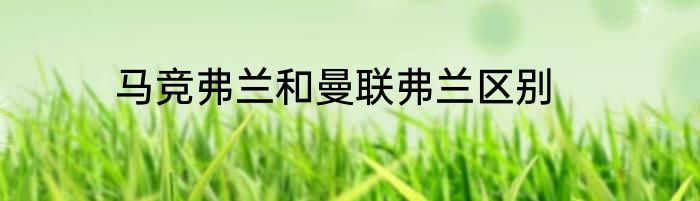 马竞弗兰和曼联弗兰区别
