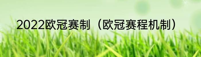 2022欧冠赛制（欧冠赛程机制）