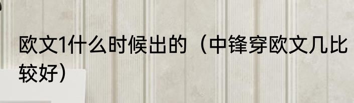 欧文1什么时候出的（中锋穿欧文几比较好）