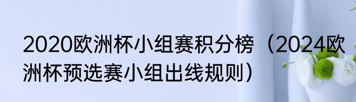 2020欧洲杯小组赛积分榜（2024欧洲杯预选赛小组出线规则）