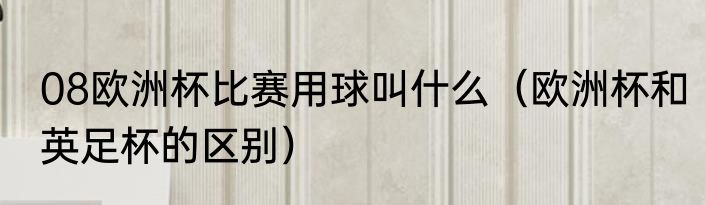 08欧洲杯比赛用球叫什么（欧洲杯和英足杯的区别）