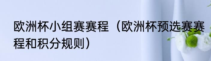 欧洲杯小组赛赛程（欧洲杯预选赛赛程和积分规则）