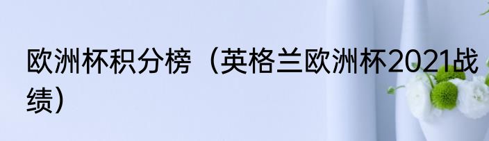 欧洲杯积分榜（英格兰欧洲杯2021战绩）