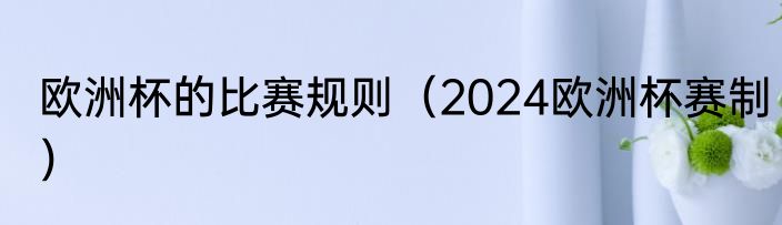 欧洲杯的比赛规则（2024欧洲杯赛制）
