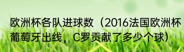 欧洲杯各队进球数（2016法国欧洲杯葡萄牙出线，C罗贡献了多少个球）