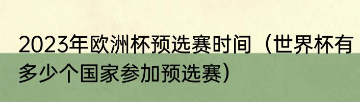 2023年欧洲杯预选赛时间（世界杯有多少个国家参加预选赛）