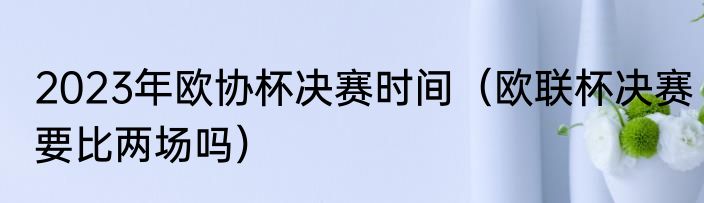 2023年欧协杯决赛时间（欧联杯决赛要比两场吗）