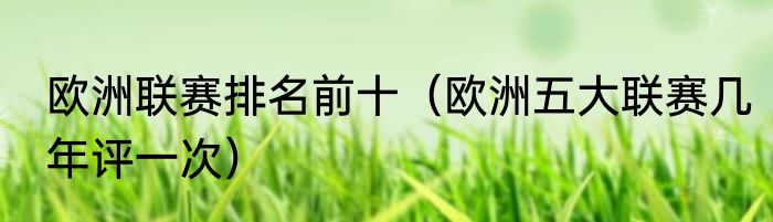 欧洲联赛排名前十（欧洲五大联赛几年评一次）