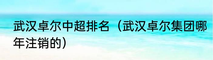 武汉卓尔中超排名（武汉卓尔集团哪年注销的）
