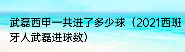 武磊西甲一共进了多少球（2021西班牙人武磊进球数）