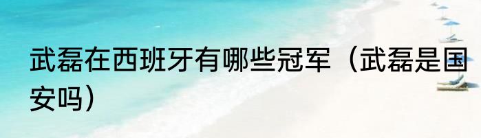 武磊在西班牙有哪些冠军（武磊是国安吗）