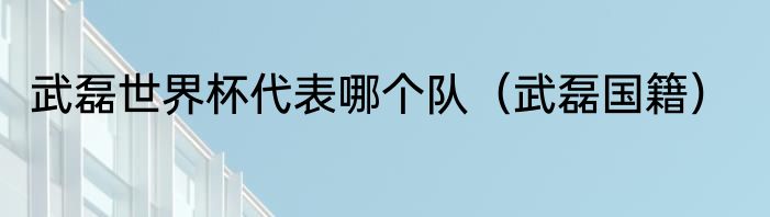 武磊世界杯代表哪个队（武磊国籍）