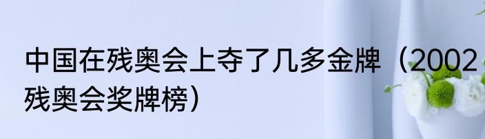 中国在残奥会上夺了几多金牌（2002残奥会奖牌榜）