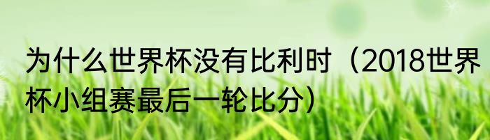 为什么世界杯没有比利时（2018世界杯小组赛最后一轮比分）