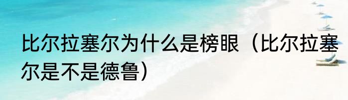 比尔拉塞尔为什么是榜眼（比尔拉塞尔是不是德鲁）