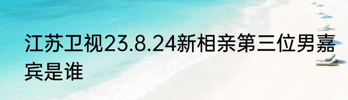江苏卫视23.8.24新相亲第三位男嘉宾是谁