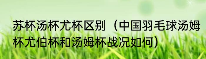 苏杯汤杯尤杯区别（中国羽毛球汤姆杯尤伯杯和汤姆杯战况如何）