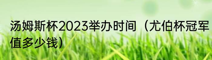 汤姆斯杯2023举办时间（尤伯杯冠军值多少钱）