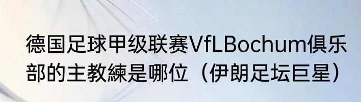 德国足球甲级联赛VfLBochum俱乐部的主教練是哪位（伊朗足坛巨星）