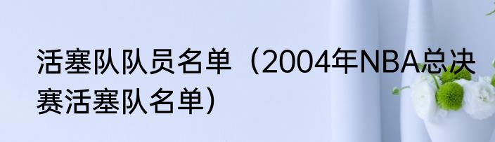 活塞队队员名单（2004年NBA总决赛活塞队名单）