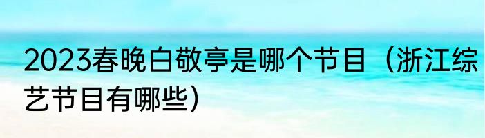 2023春晚白敬亭是哪个节目（浙江综艺节目有哪些）