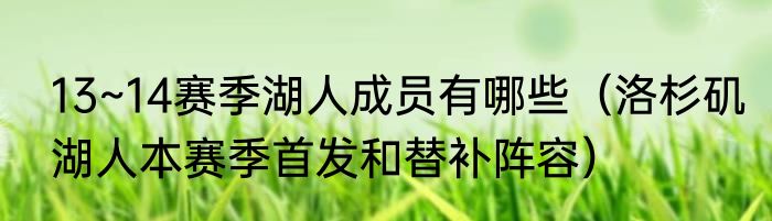 13~14赛季湖人成员有哪些（洛杉矶湖人本赛季首发和替补阵容）